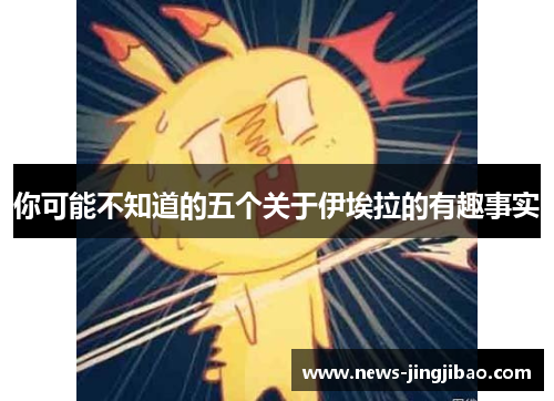 你可能不知道的五个关于伊埃拉的有趣事实
