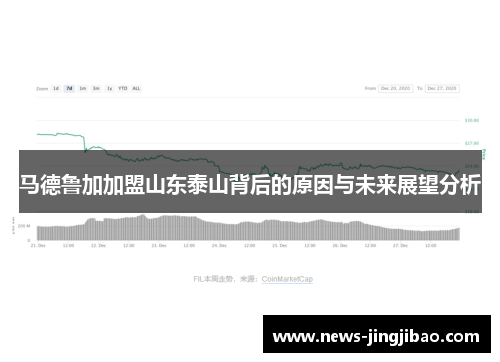 马德鲁加加盟山东泰山背后的原因与未来展望分析