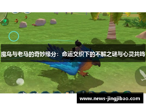 魔鸟与老马的奇妙缘分：命运交织下的不解之谜与心灵共鸣